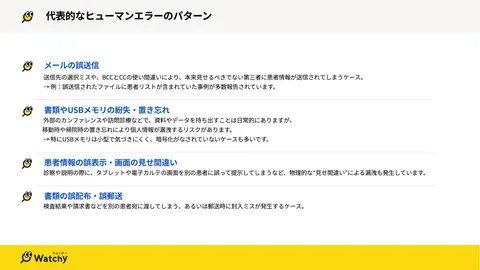 資料中面イメージ：代表的なヒューマンエラーのパターン